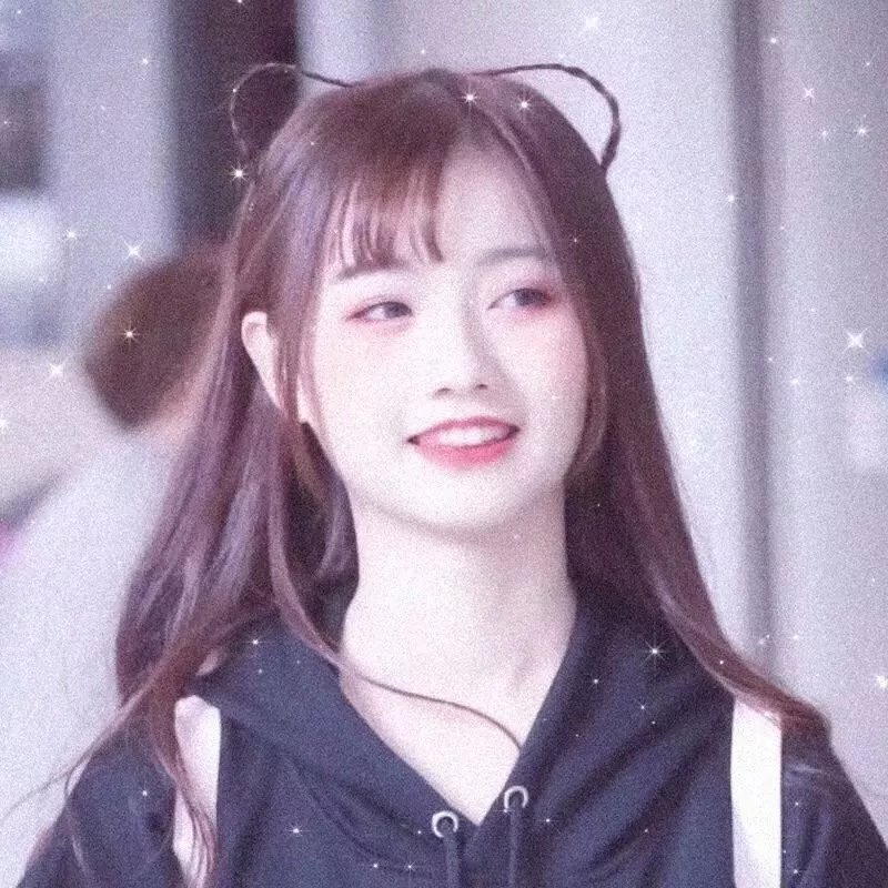 狐狸在手海报